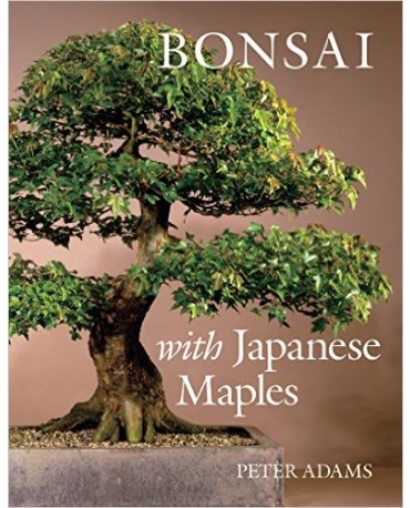 BONSAI WITH JAPANESE MAPLES