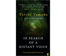 IN SEARCH OF A DISTANT VOICE